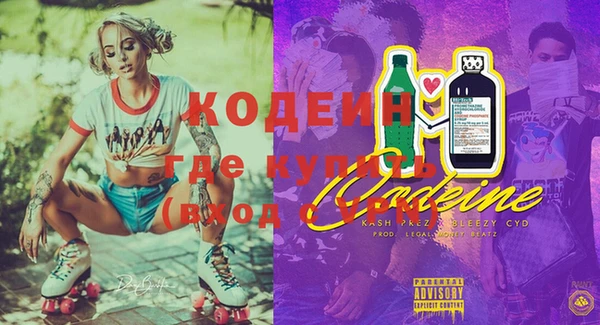 гидра Няндома