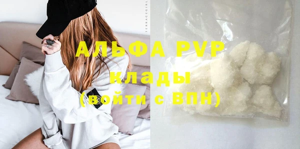 гидра Няндома