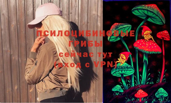эйфоретик Балахна